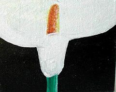 EPSN0019.JPG